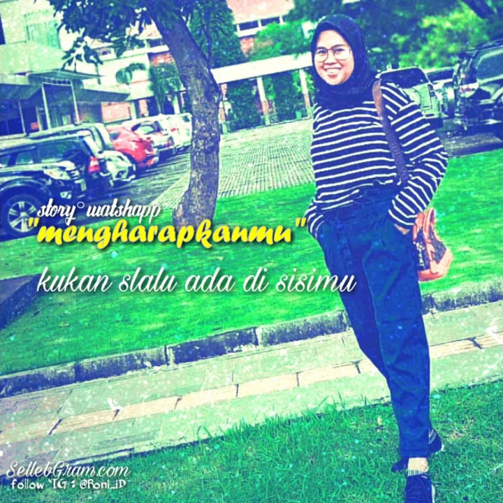 Story WA mengharapkanmu cover_monica