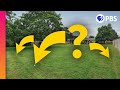 Exploring Nature with iNaturalist