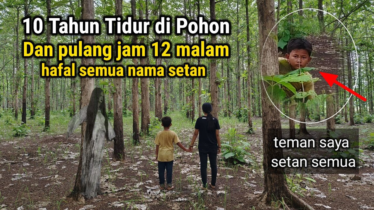 10 TAHUN TIDUR DI RUMAH POHON!! TERNYATA MEREKA BIKIN RUMAH DI HUTAN BERHANTU