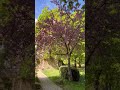 #hessen Marburg Schloss 🏰 Kis vasárnapi séta !