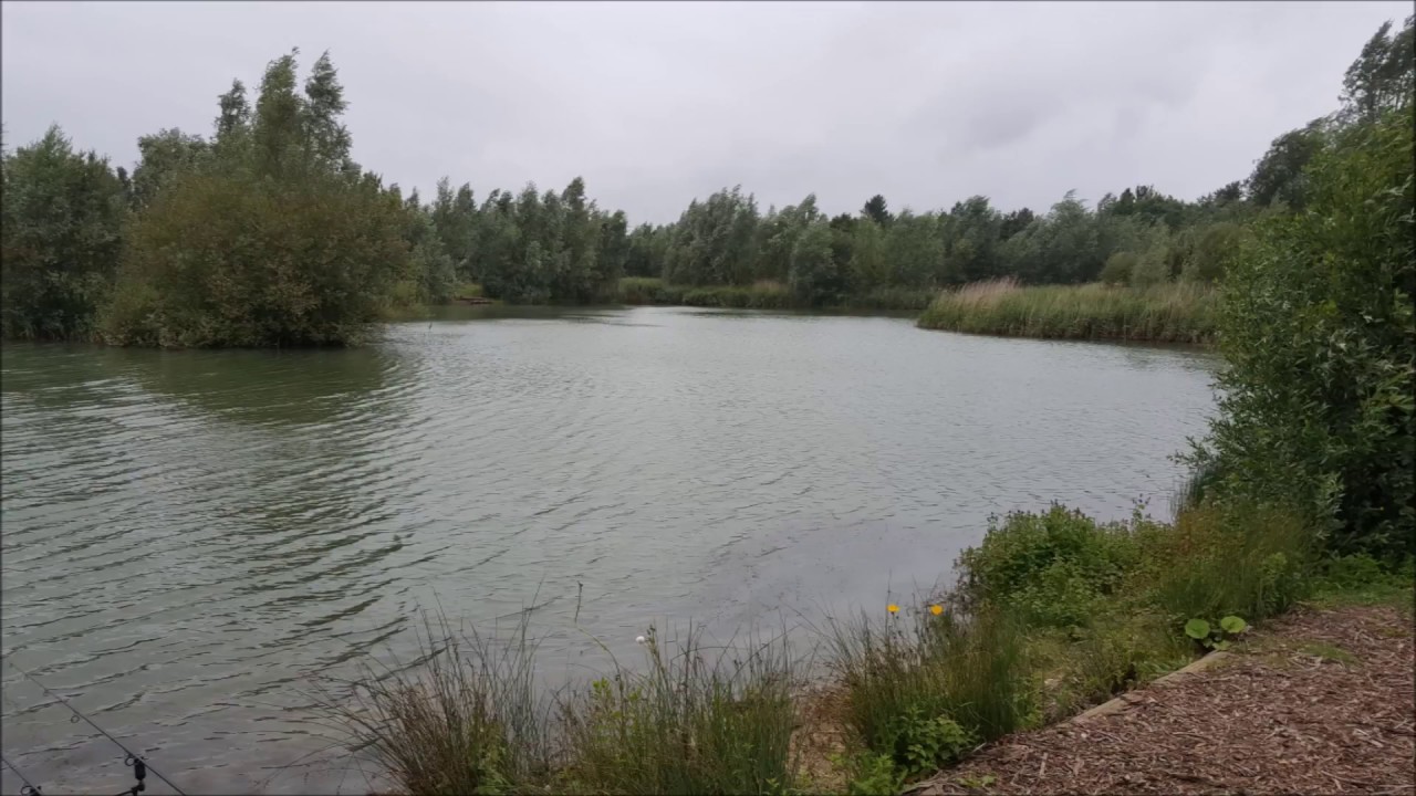 Manor Farm Fishing 24lb & 19lb Carp Winters Lake 2017 YouTube