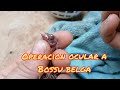 Operacion ocular a un Bossu Belga