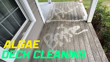 Soft washing YEARS of ALGAE build up on this trex deck
