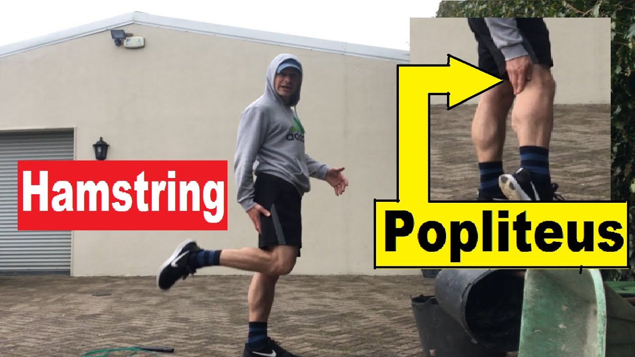 Jump Rope Hamstring Pain?: Excessive Knee Bend - Popliteus Muscle Pain ...