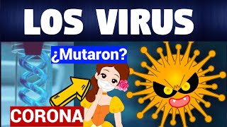 TODO SOBRE LOS VIRUS | CLASIFICACIÓN Y MNEMOTECNIA |