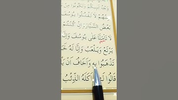 سورة يوسف الأية 11 إلى 14 القارئ سعد الغامدي #أرح_سمعك_وقلبك #قرآن_كريم
