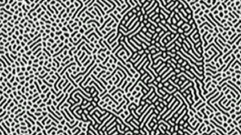 Bad Apple!! But Blurred And Sharpened 1000 Times (⚠️ SEIZURE WARNING ⚠️)