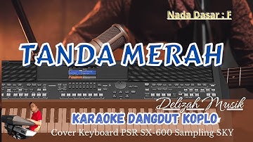 TANDA MERAH KARAOKE KOPLO (Elvy Sukaesih)