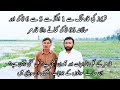 Watermelon farming  tarbooz farming  how watermelon is cultivated  village life with safdar