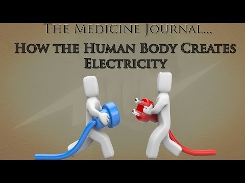 How the Human Body Creates Electricity