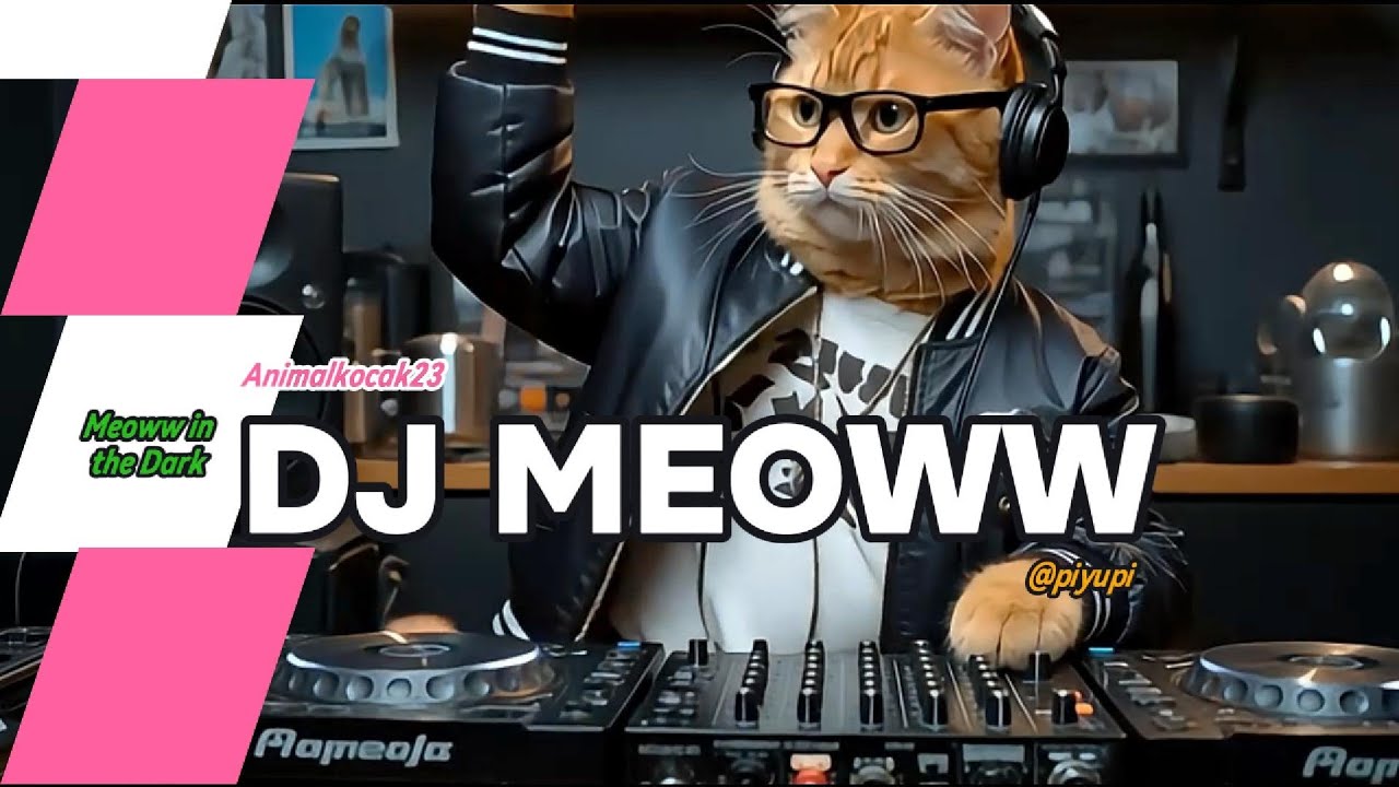 😻🎧DJ MEOWW🎧😻MEOWW IN THE DARK❤️‍🩹😎