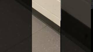 Flooding inside Butler High School