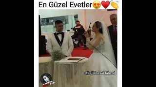 En Güzel Evetler