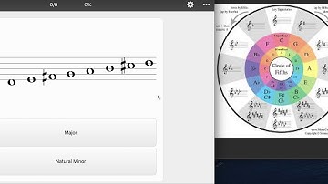 Scale Identification Training