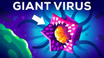 cover of episode This Virus Shouldn't Exist (But it Does)
