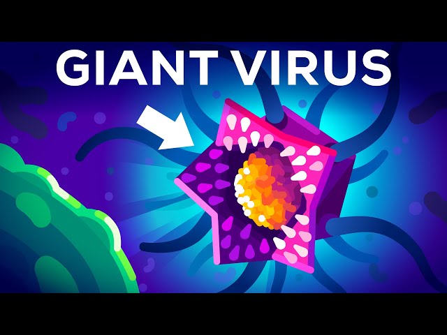 This Virus Shouldn't Exist (But it Does)