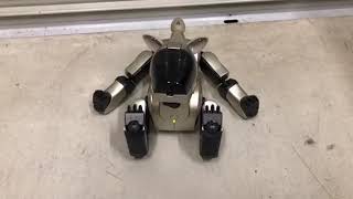SONY AIBO ERS-210 ソニー バーチャルペット アイボ ロボット 動作品 ジャンク 充電器 バッテリー メモリースティック 中古