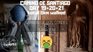 Carrión de los Condes - Ledigos - Sahagún | Camino de Santiago