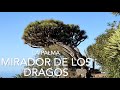 Mirador de Los Dragos, Puntagorda, La Palma (4K)