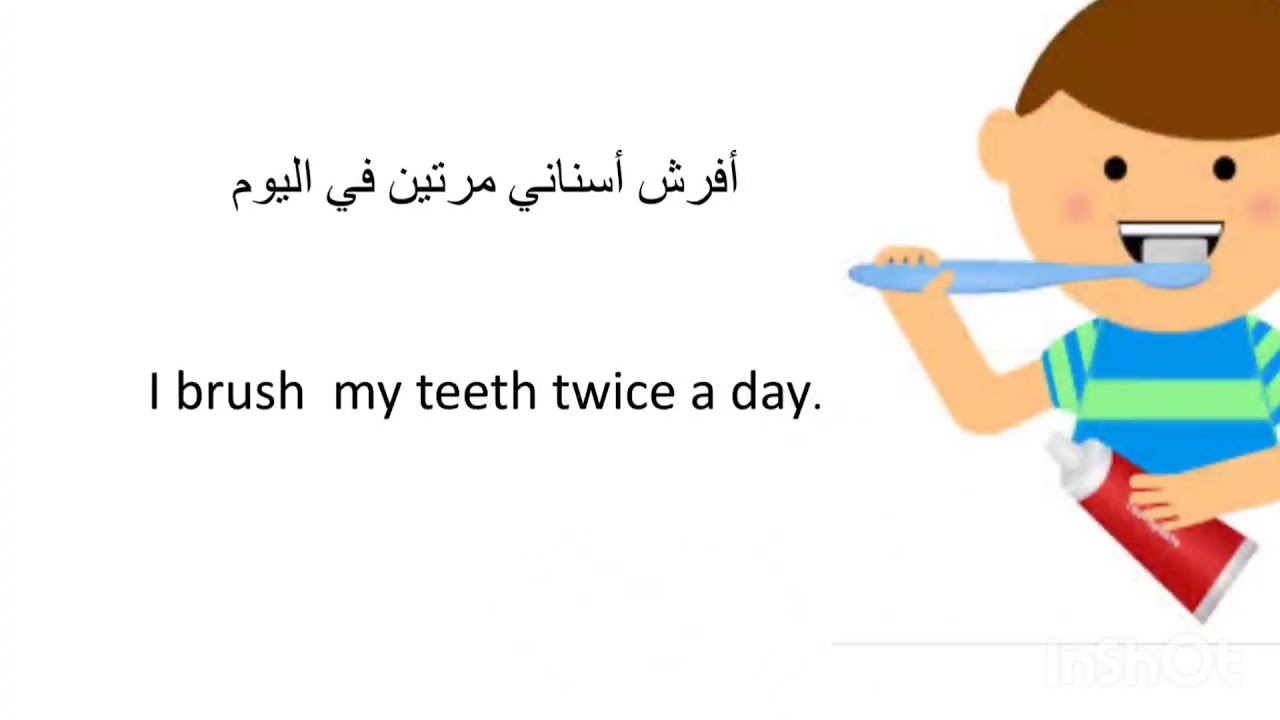 my daily routine essay in arabic