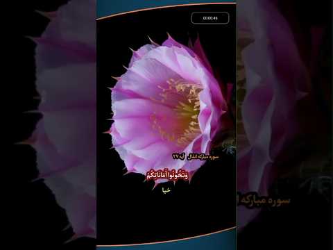 به نام خداوند بخشنده بخشایشگر مهربان اسلام  قرآن