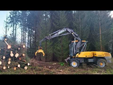 Felling trees with a Mecalac 12 MXT wheeled #excavator and GMT035 #grapplesaw in the #achterhoek