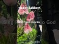 Happysabbath Viralvideo Love Subscribe Lifestyle Flowers Youtube Youtubeshorts Viralreels
