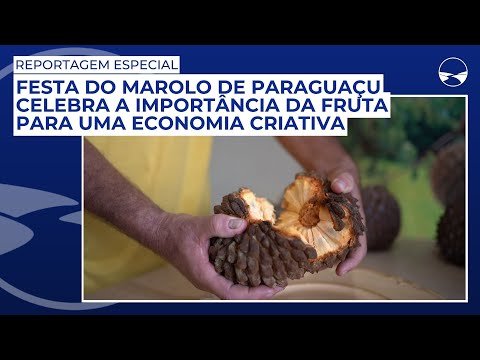 Festa do Marolo de Paraguaçu celebra a importância da fruta para uma economia criativa