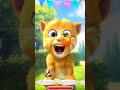 talking ginger gameplay funny cat video talkingtomversion 