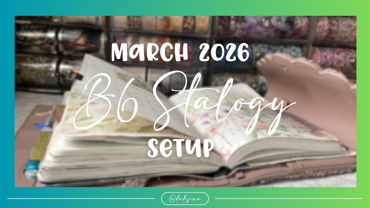 B6 Stalogy Set up (March 2026)