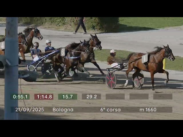 2025 09 21 | Corsa 6 | Metri 1660 | Premio Gran Premio Continentale Filly - Trofeo Bruno Pasini