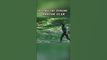 PULAU YANG DIHUNI ULAR RAKSASA?! #film #alurceritafilm #filmpendek