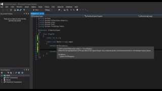 C# .NET Tutorial   3   Primitive Types Net Worth