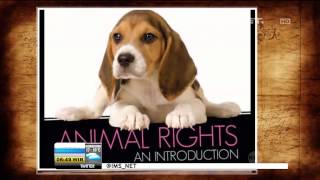 Todays History 10 Desember Hak Asasi Binatang - IMS