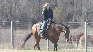 Little Docs Rufus - trail riding - ValleyViewRanch.net