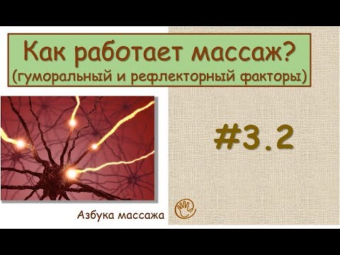 Как работает массаж (гуморальный и рефлекторный факторы) | Урок 3, часть 2 | Уроки массажа