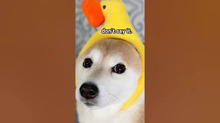 DONT SAY IT 😱 #cutenessoverload