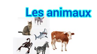 Apprendre les noms des différents animaux en français et en arabe.