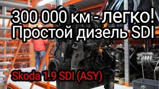 Как двигатель 1.9 SDI пережил пробег в 300.000 км? Разбираем мотор со Skoda Fabia 2003 года.