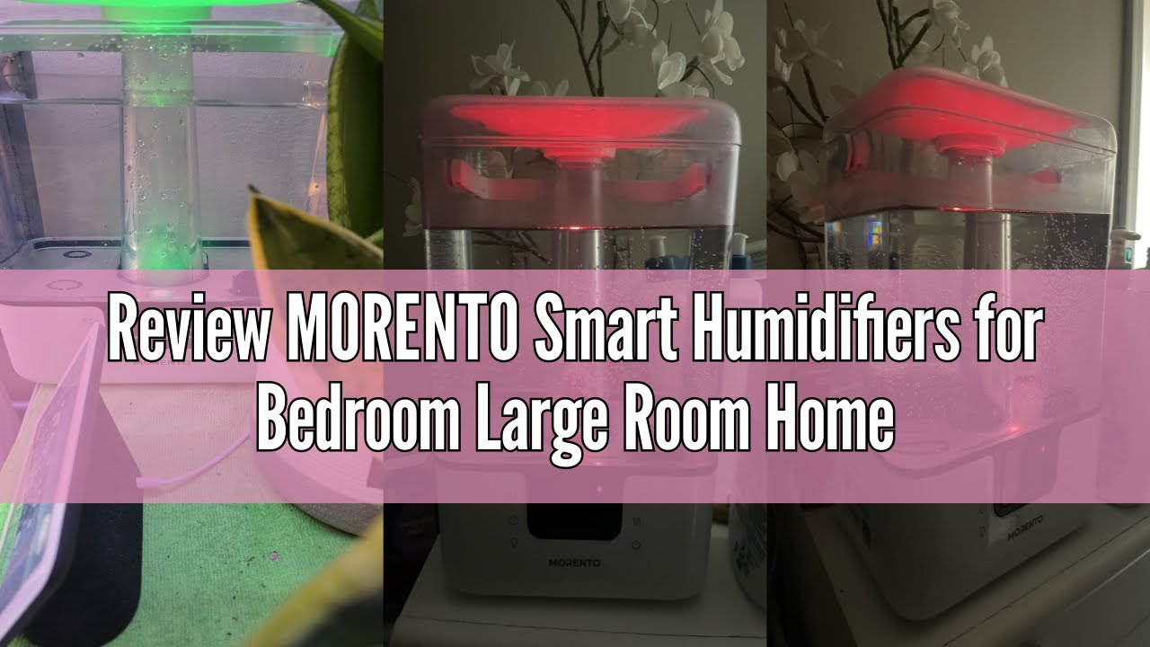 Review MORENTO Smart Humidifiers for Bedroom Large Room Home, 6L Cool Mist Top Fill Humidifier with