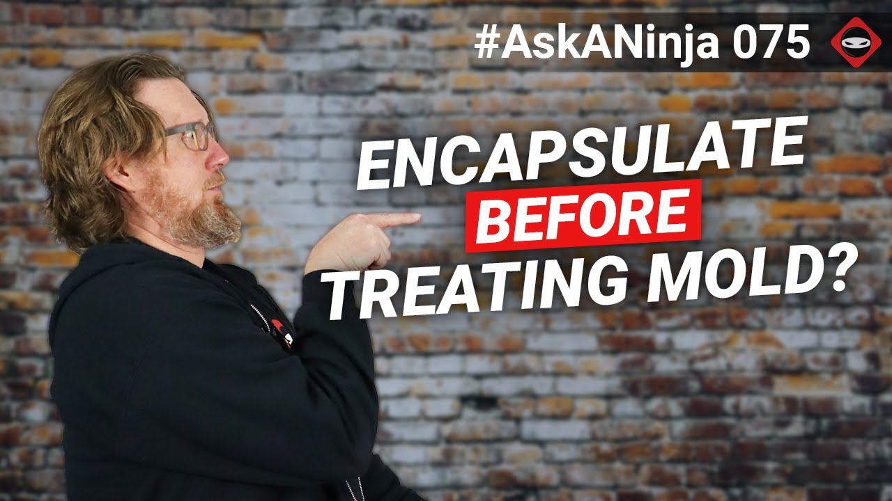 Can You Encapsulate Crawl Space Before Mold Removal - YouTube