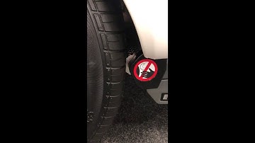 Enduro 305+ caravan mover ACTIE met lithium accu en accu tester