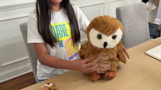 Owls Stuffed Animal Mommy Owls with 4 Cute Babies - REVIEW