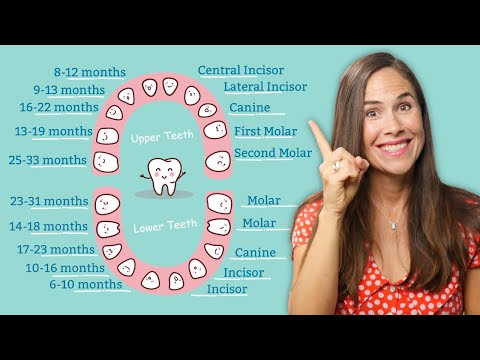 Video: Which Teeth Are Cut First