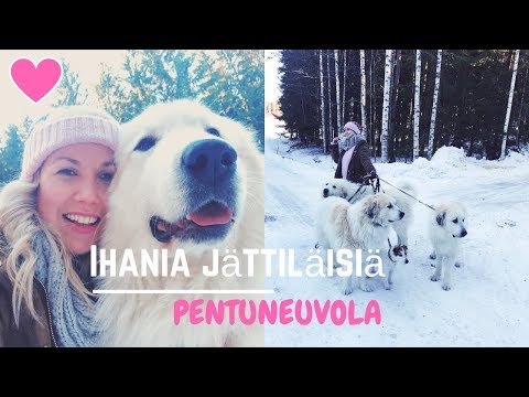 Video: Tutustu Merinäköalaan Näillä Upeilla Merenranta-retriiteillä