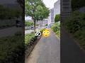あ😳発見📢本数の少ない貴重な路線バス福岡県大野城市西鉄バス
