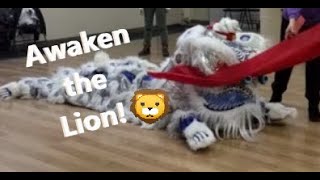 Awakening a Lion Ceremony - Lion Dance Kai Guang