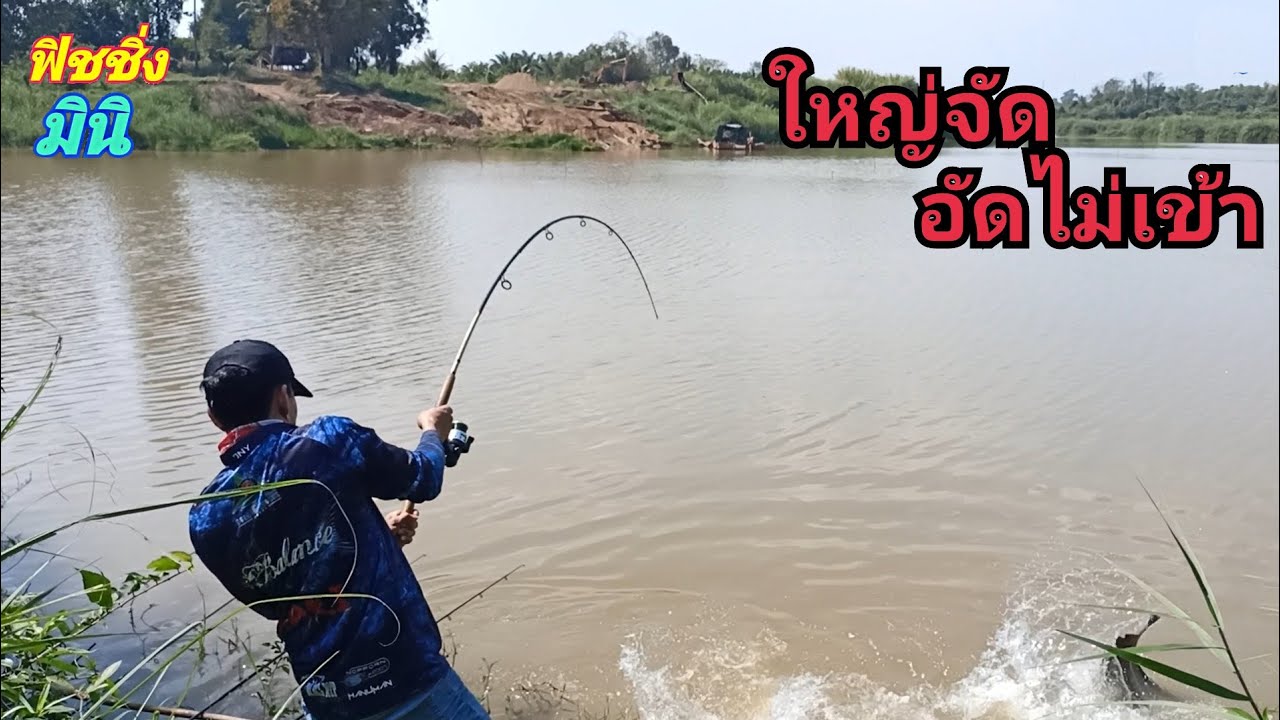 ..ไอ้ค้าวยักษ์..โดนลากเกือบตกน้ำ 😱 ไม่คิดว่าจะเจอใหญ่ขนาดนี้ ฟิชชิ่งมินิ.