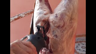 طريقة تقطيع اضحية العيد بالمنشار الكهربائي comment couper un mouton avec la scie sabre électrique.
