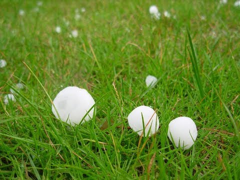 KTF News - Record Breaking Hailstones in Colorado